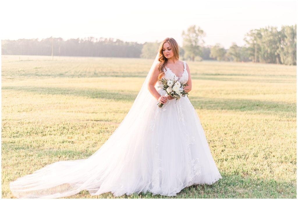 Ball gown and cathedral wedding dress Southern Bridal Session |  
 | Ashlynn Miller Photography