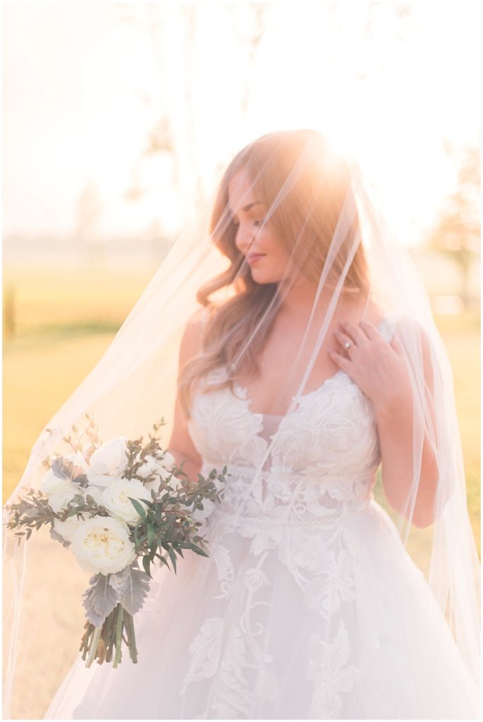 This is the most gorgeous bridal session I've ever seen! | Silver underlay wedding gown  | Ashlynn Miller Photography