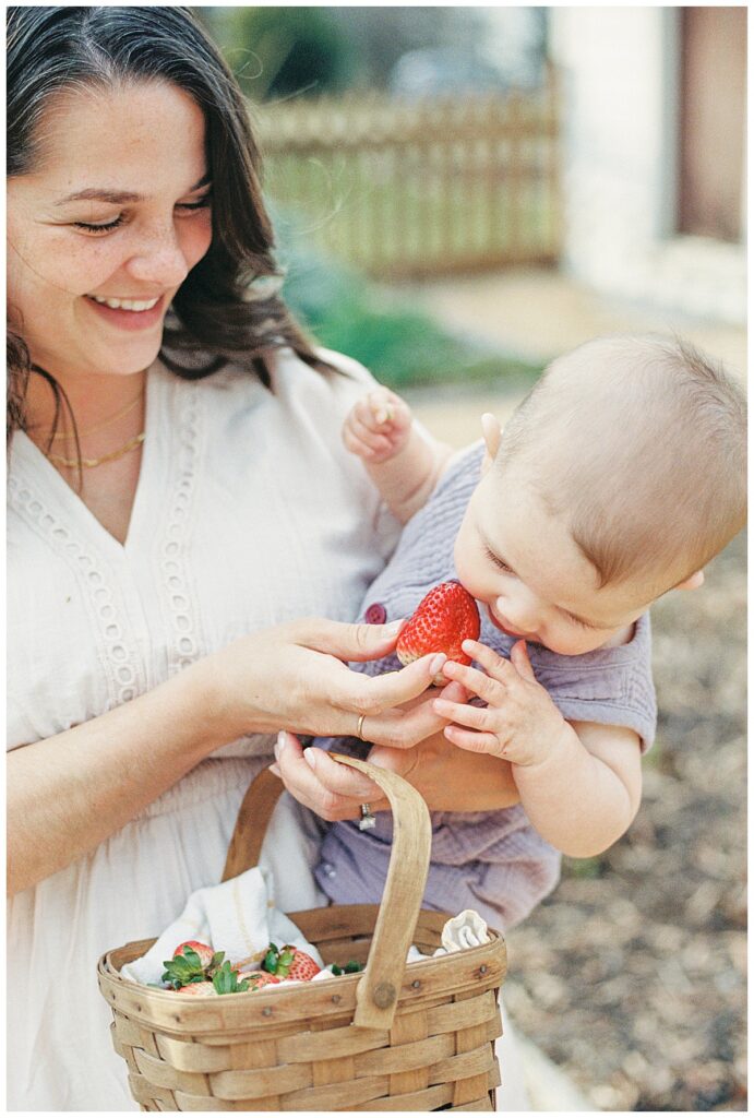 Springtime Garden Portraits | Ashlynn Miller Photography | Raleigh, North Carolina